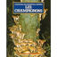 Image de Connaître, reconnaître, cuisiner les champignons