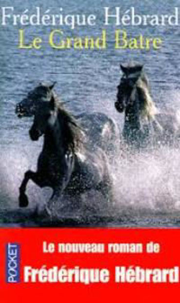 Image de Le Grand Batre