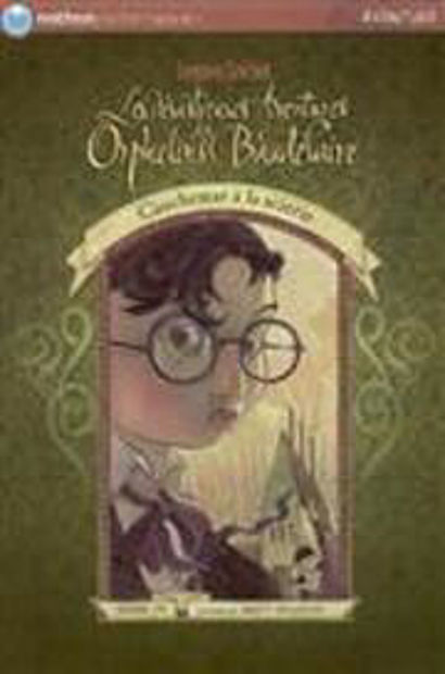 Image de Les désastreuses aventures des orphelins Baudelaire Volume 04, Cauchemar à la scierie