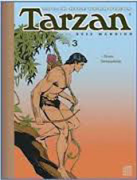 Image de Aventures de Tarzan
