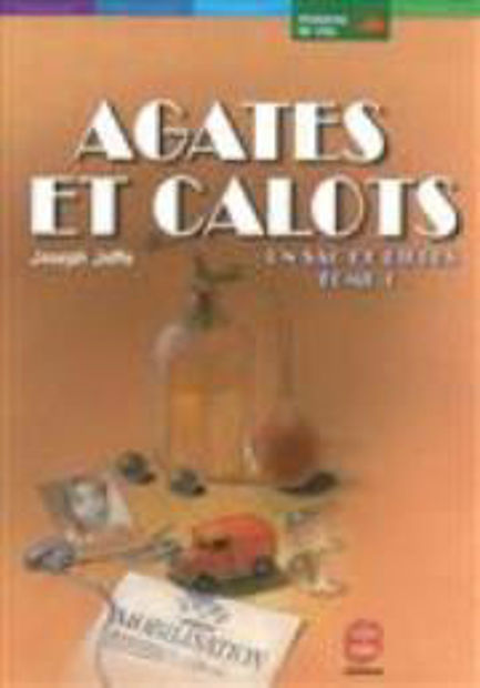 Image de Un sac de billes Volume 1, Agates et calots