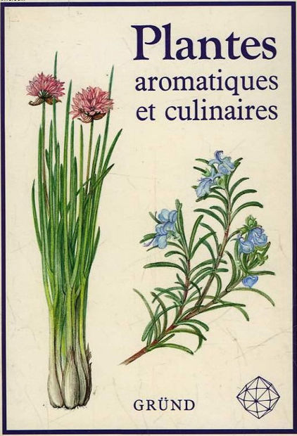 Image de Plantes aromatiques et culinaires