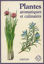 Image de Plantes aromatiques et culinaires