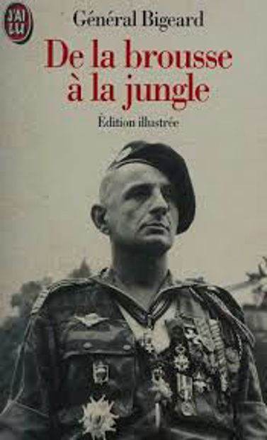 Image de De la brousse à la jungle