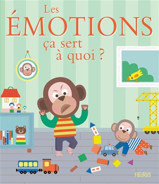 Image de Les émotions, ça sert à quoi ?