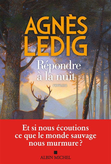 Image de Répondre à la nuit