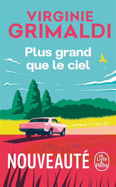 Image de Plus grand que le ciel