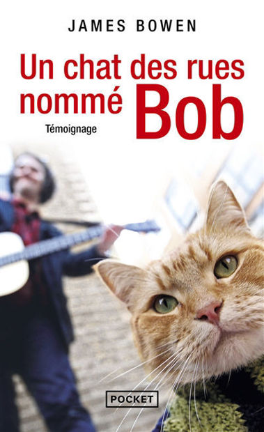 Image de Un chat des rues nommé Bob : témoignage
